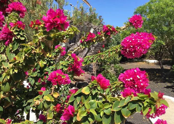 卡萨斯索尔酒店